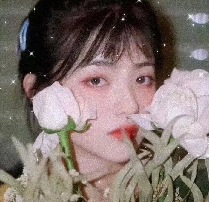 情人知己